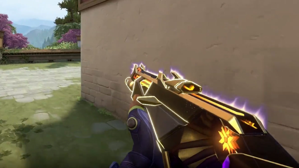 A Closer Look at the Champions Vandal 
